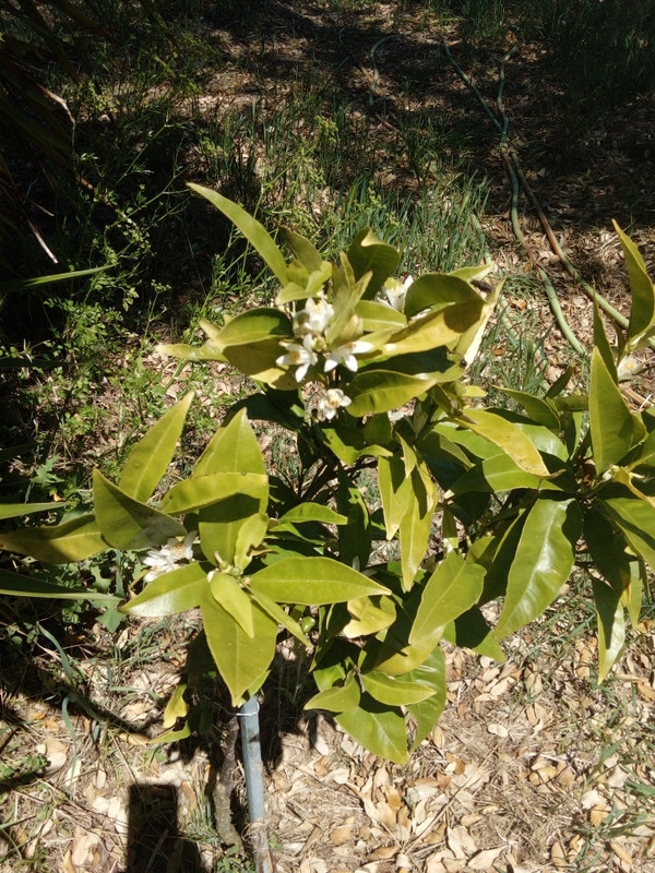 DSC_0205_resized_20190512_101155476