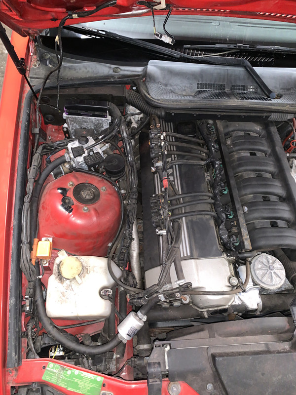 392EA7A2-688D-431D-9560-06DBFACFD527