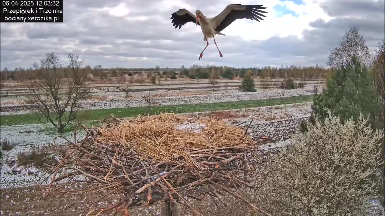 06042025minutazbocianem_1