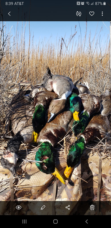 Screenshot_20200119-083903_Gallery