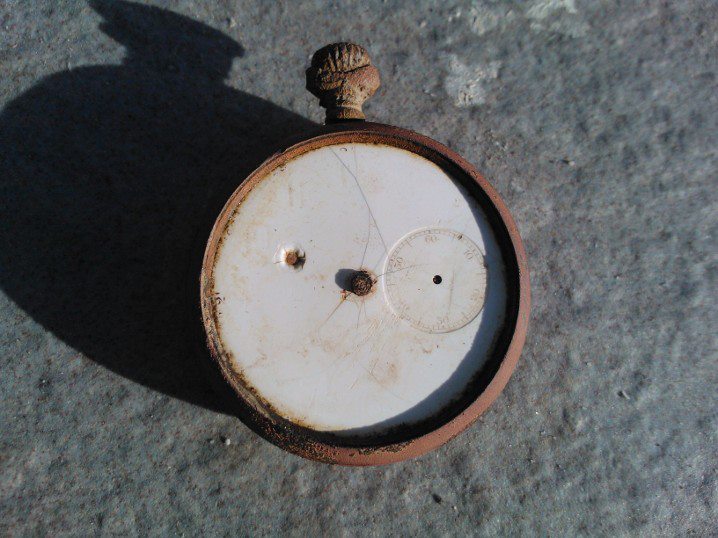 taskunauris