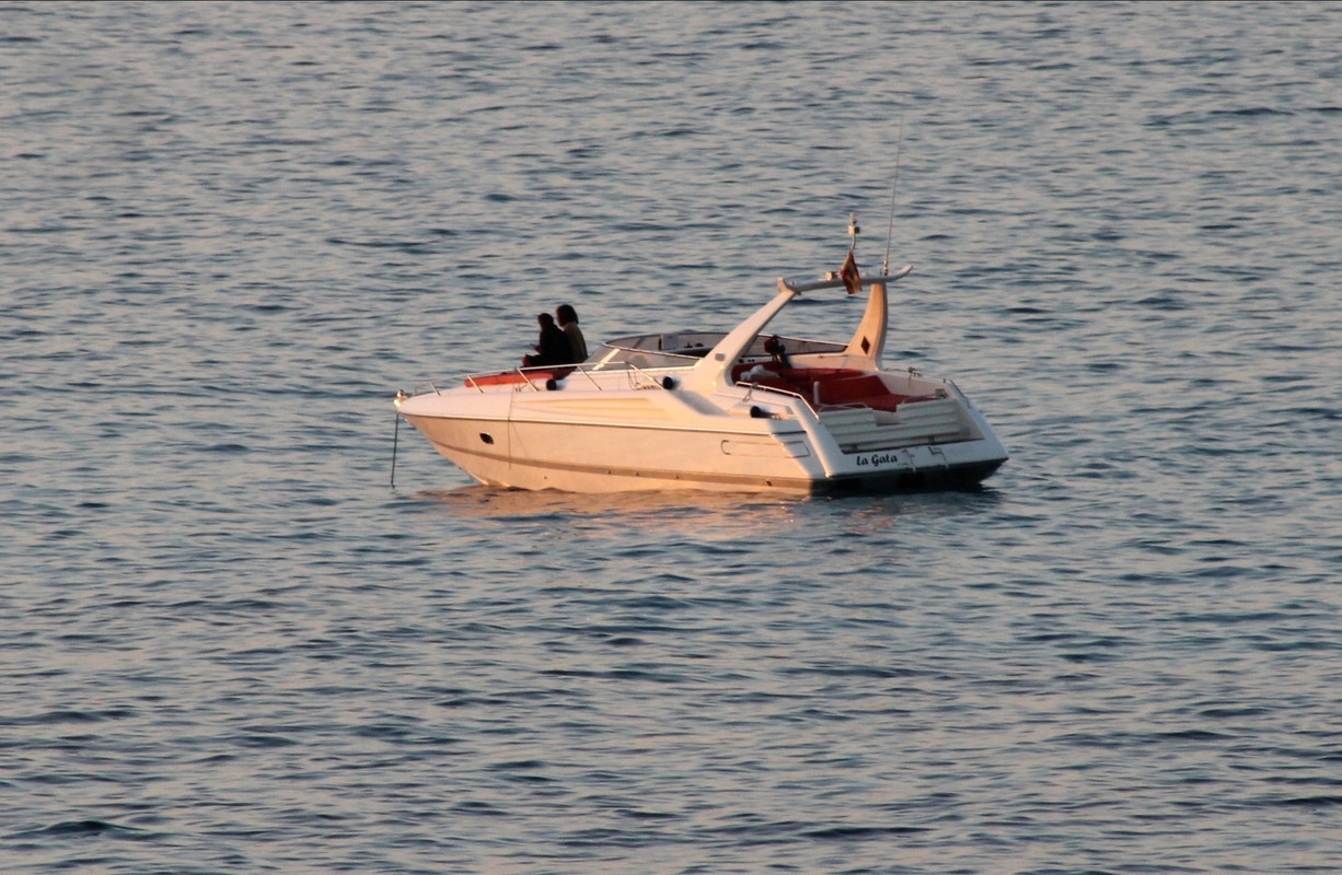 emmawatson-updates.com (75)