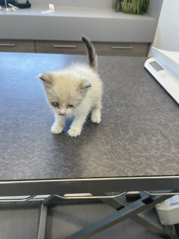 F9145105-D1E6-4D74-91E8-9D724BD798A3