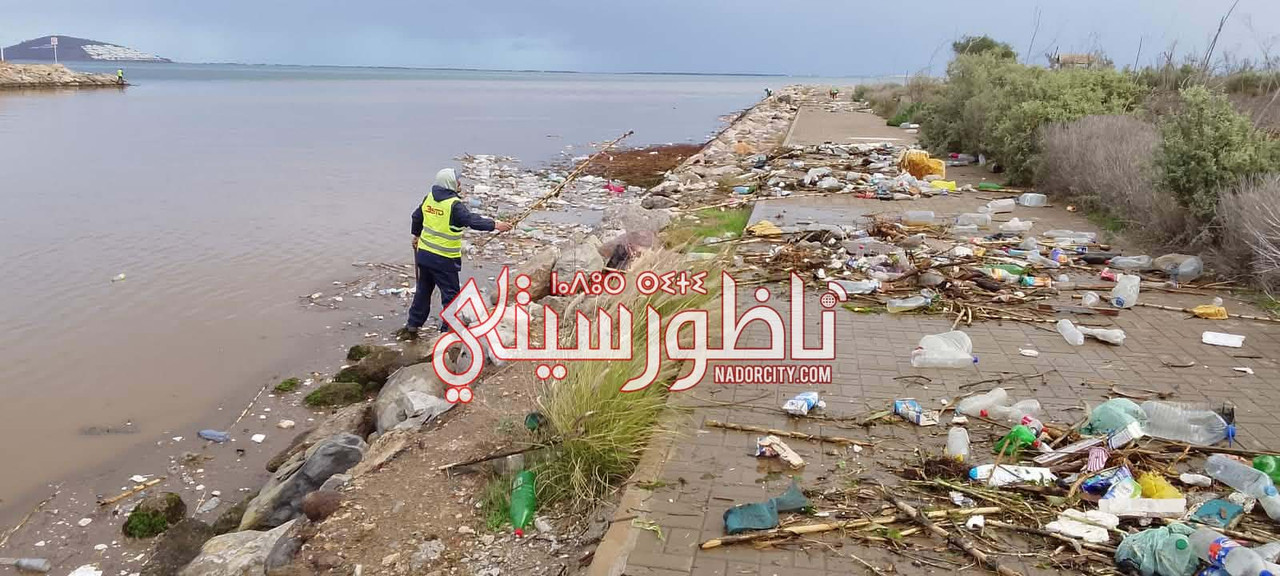 609902975-3763262867315469-450843766441607244-n