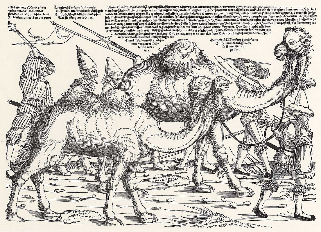 67A2ED65-6228-4FD4-A0BB-E822AB1DA4BF