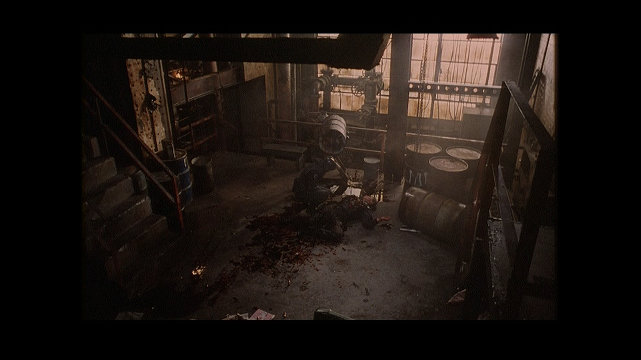 16-1998-Criterion-DVD