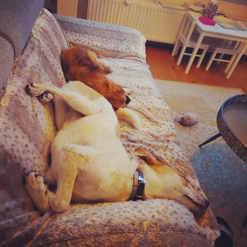 IMG_20220924_152303_846