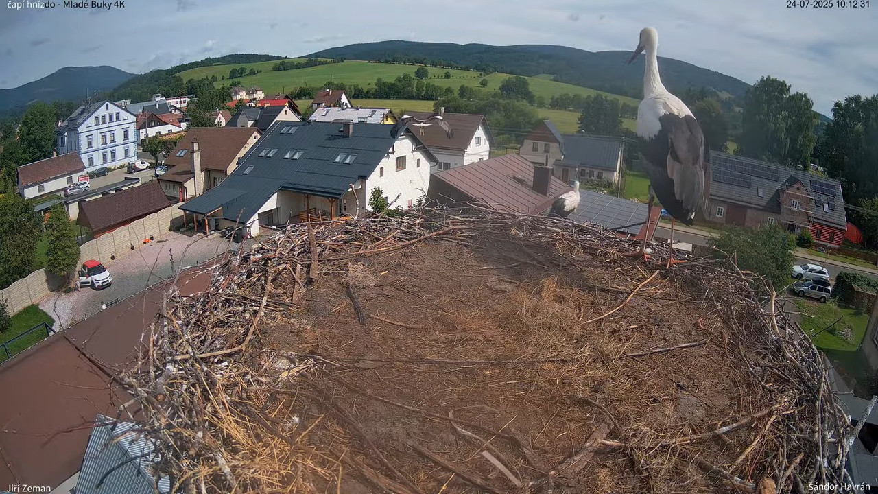 Tiešraides kamera — Mladé Buky — stārķa ligzda 4K 12-17-1 screenshot
