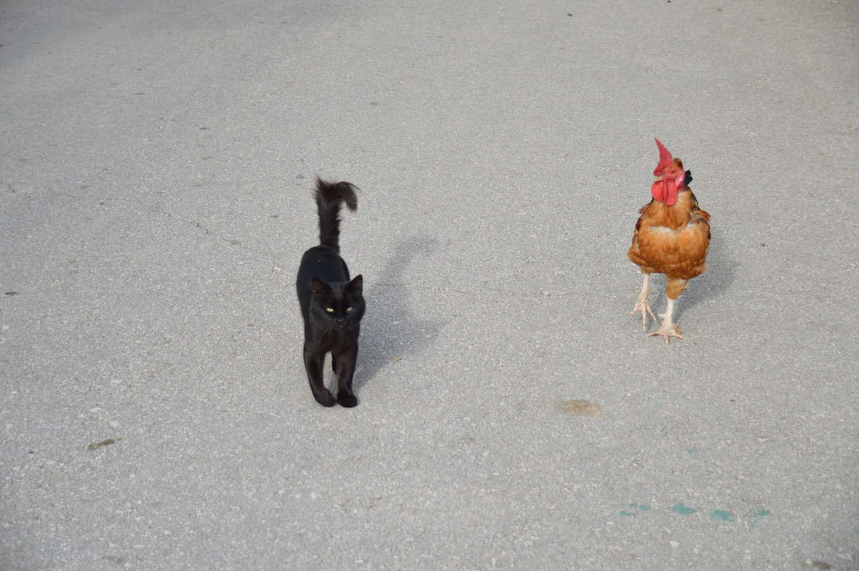 wQ7X-Y9Ua_NxrU6xgSAWC9DXOAmijVANE49De-7Q_ygDVD8DJKmOwuyaBx-2gq1x4GP9r1wj-BaFgJT62CxVk3bH