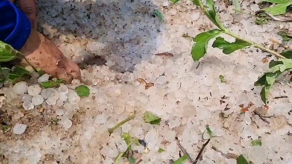 vlcsnap-2026-04-21-09h56m37s160