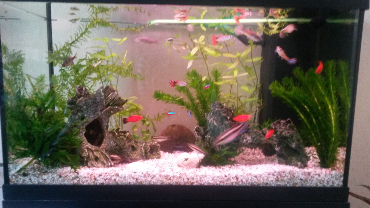 1534001633750846481328