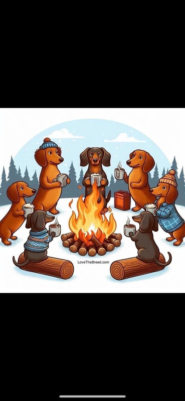 [Image: FB-IMG-1741391061142.jpg]