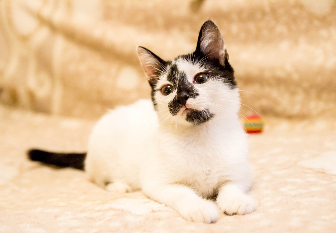 подросток-1-6