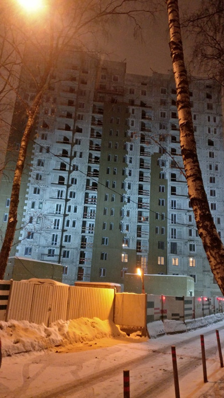 паперника.jpg2