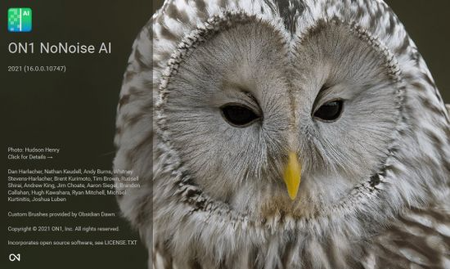 ON1 NoNoise AI 2022 v16.0.1.11481 (x64) Multilingual Portable