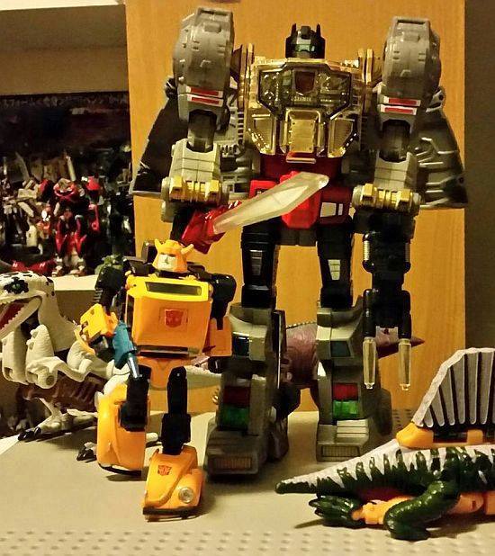 11666318_851824781570599_7725026634532154719_n