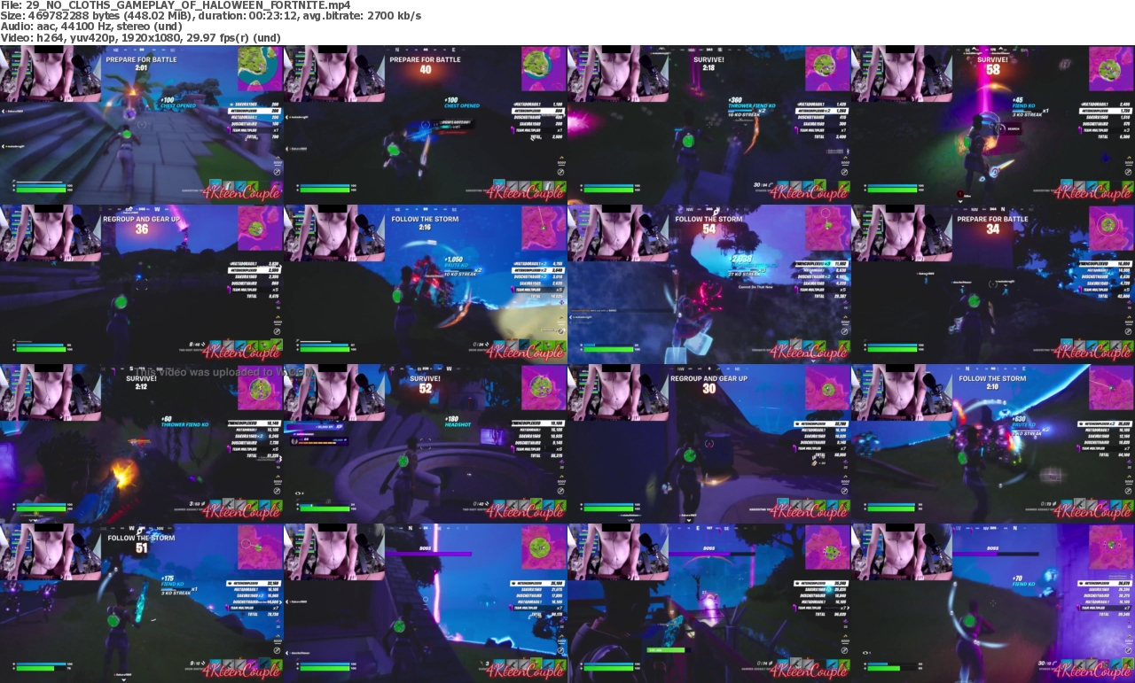 26102022013739screenshot