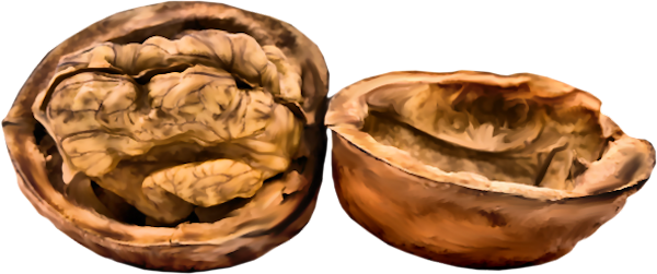 TADD_elements_ShimmerFall (8)