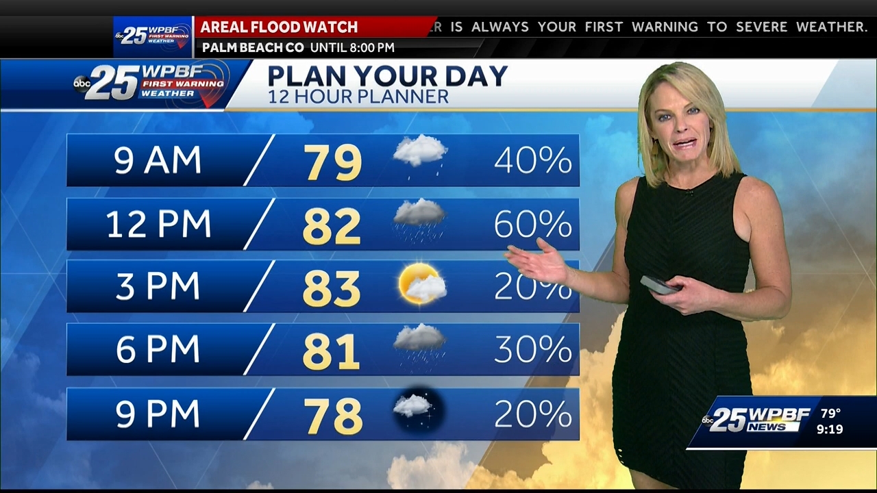 10.22 - 14.00.00 - WPBF 25 News at 9 00 AM..ts_snapshot_00.20.41.841
