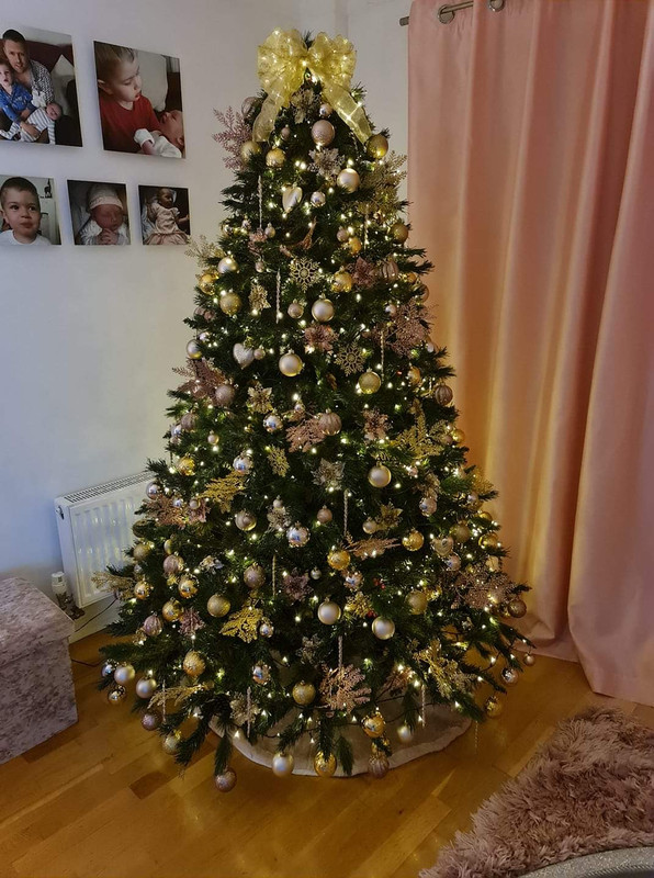 FB_IMG_1606504489479