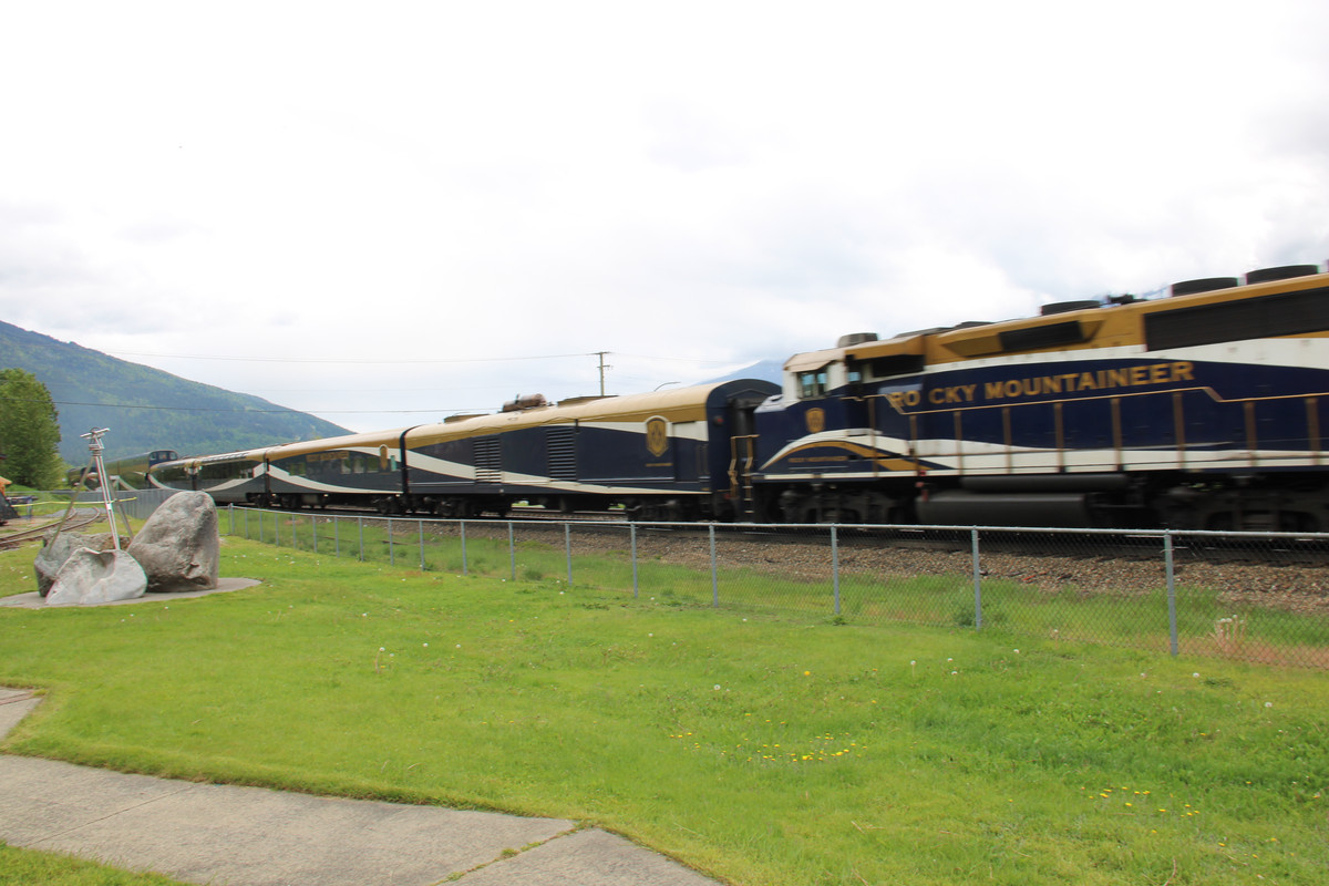 IMG-1236.jpg