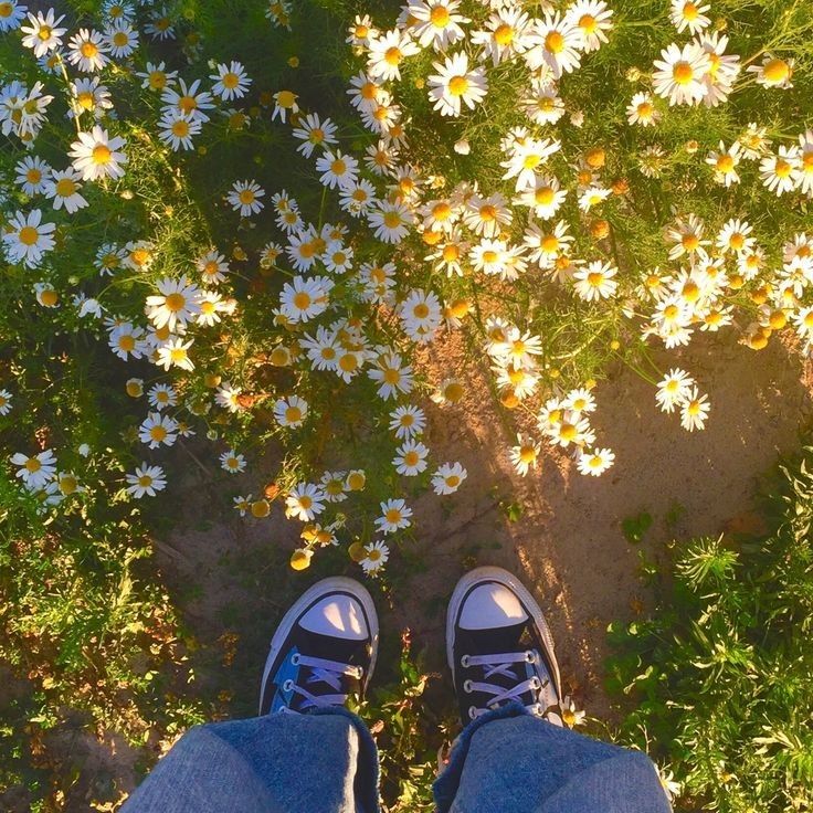 Flower Image