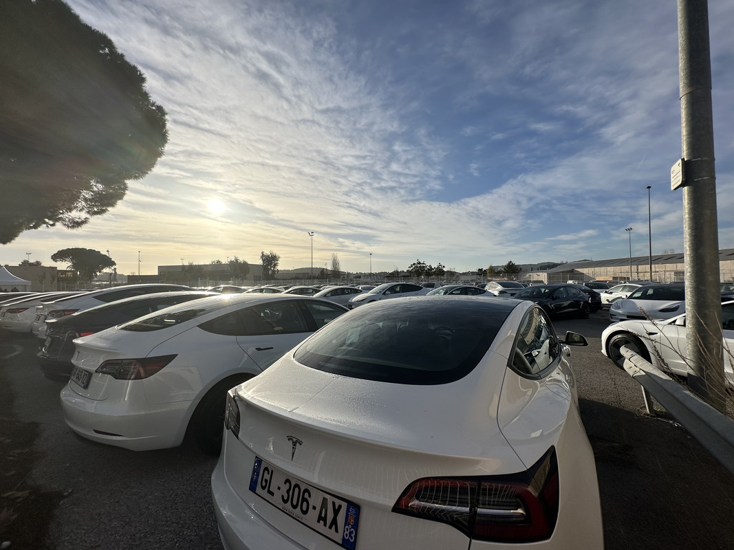 E0FF1575-FF8E-484F-B6A4-4E4D54A70C25