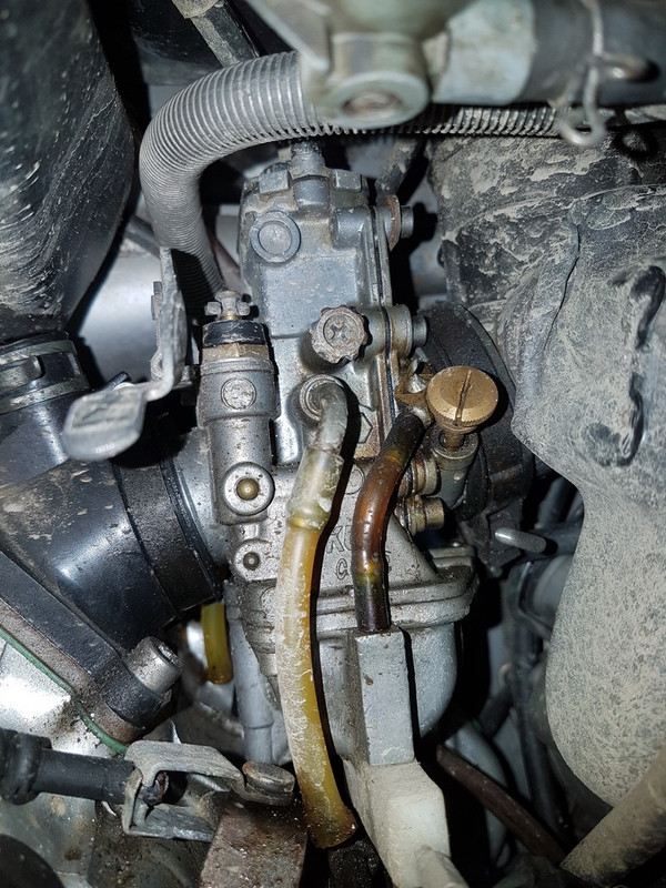 20200206_092721 (Copier)