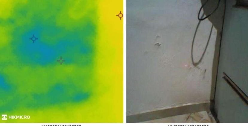 Thermal Scanning Service