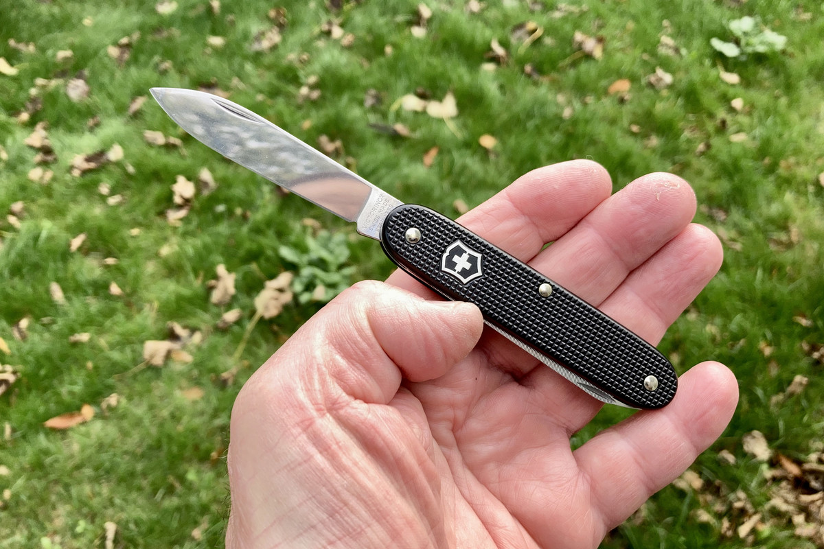 01AC51B3-8915-4501-B4B9-0DE1045ADAAB