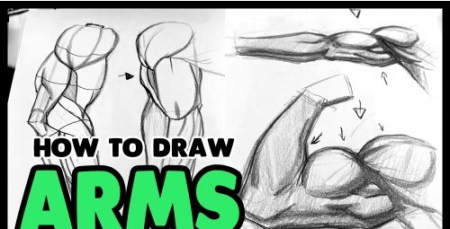 How to Draw Arms - for Beginners
