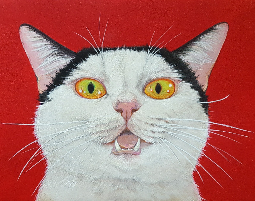 25311013-904426363063381-7457109797879564064-o