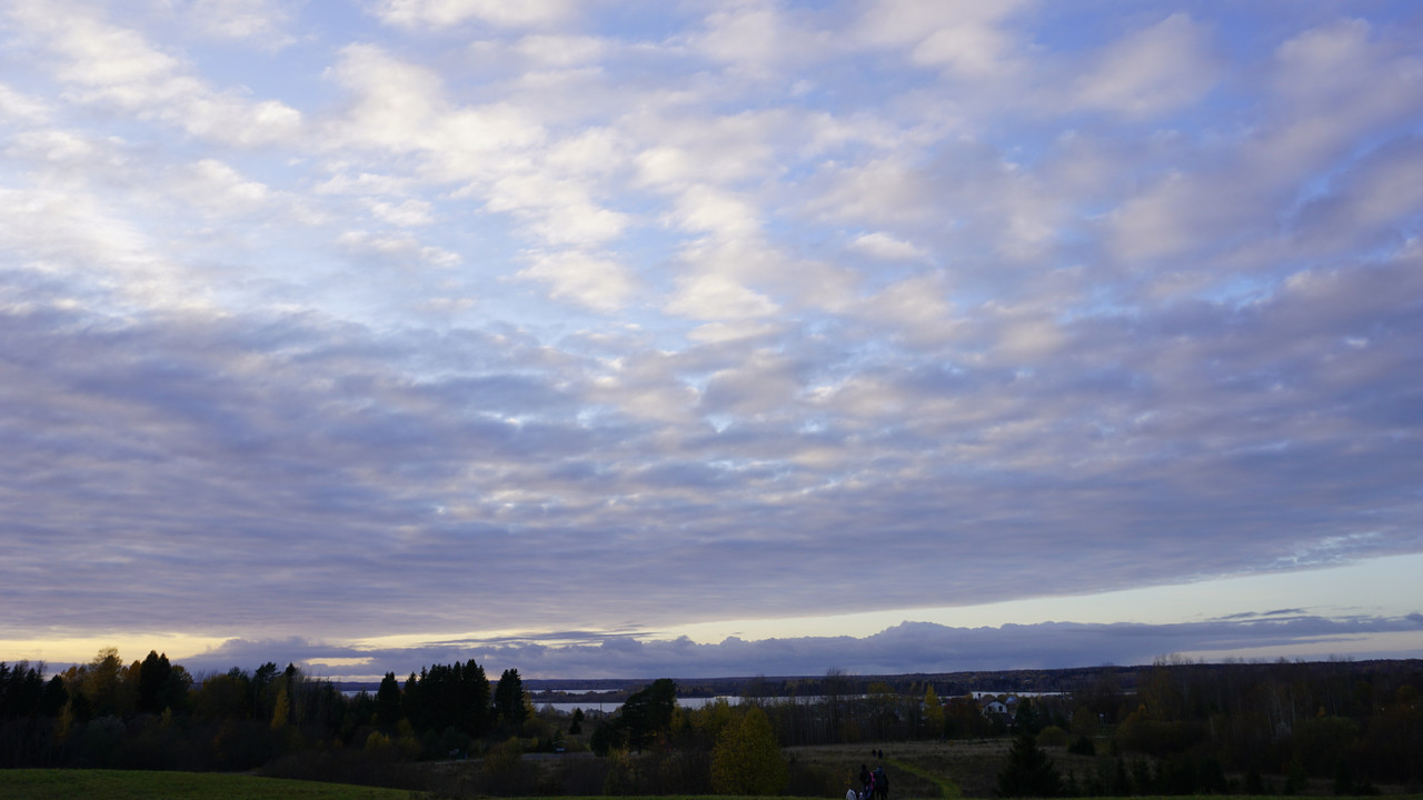 DSC0133.jpg