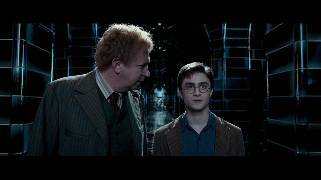 Harry Potter (2001 - 2011) COMPLETE (1080p BDRip x265 10bit DTS-HD MA 5.1 - xtrem3x) [TAoE]