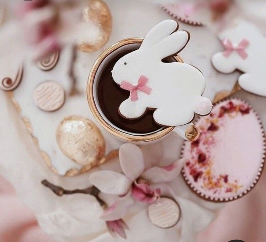 Screenshot_20230328_004844_Pinterest