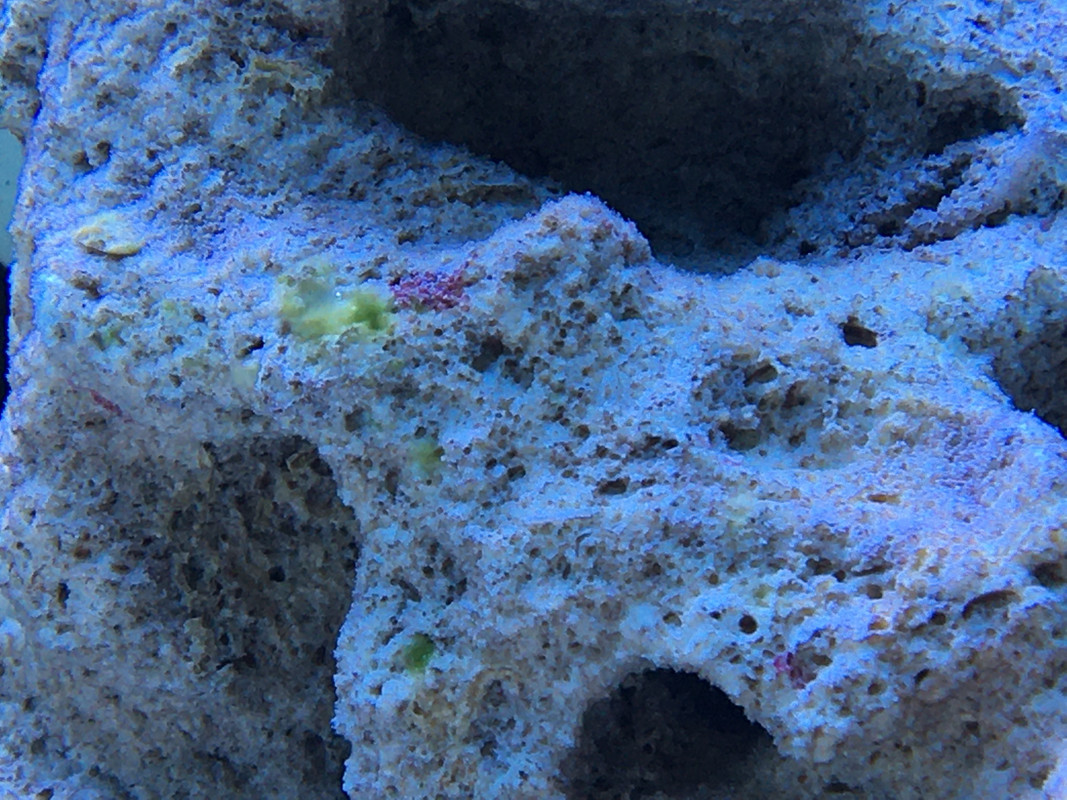 3F1E4EF7-72BD-4D6A-827F-B93A9AFBACE0