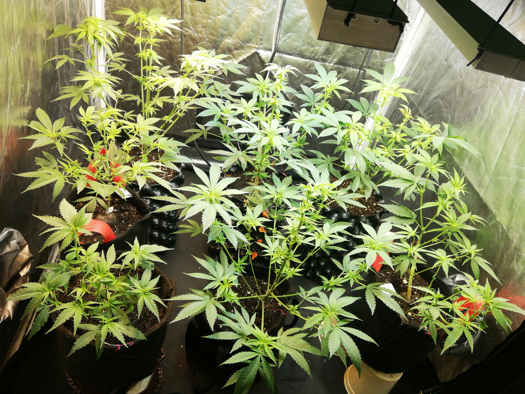 16053625430503670012221023666090