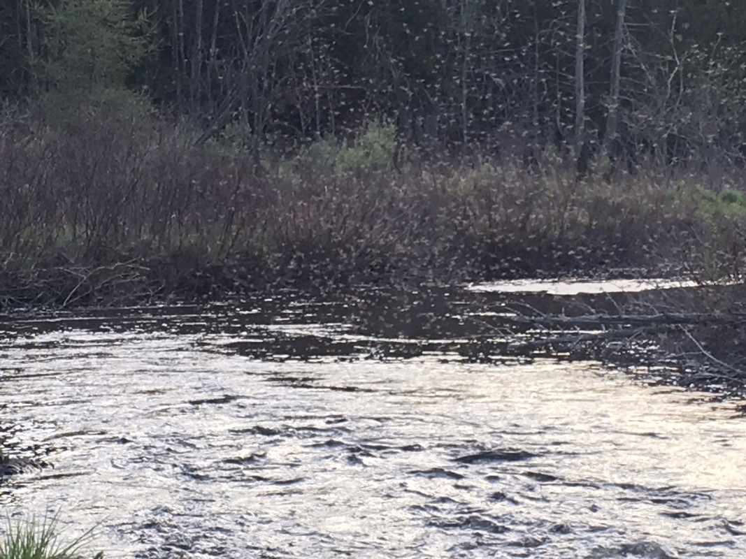 B72FDFF4-7193-4C0D-95F4-9FAE79AA447A