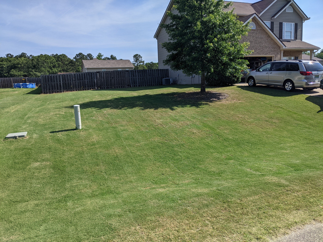 2021.05.21 front yard 2