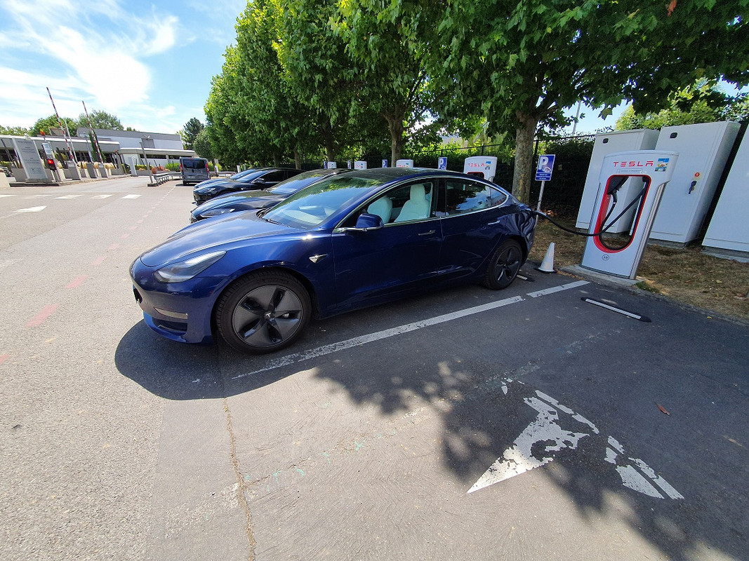 Gotharic_SuC_Collégien