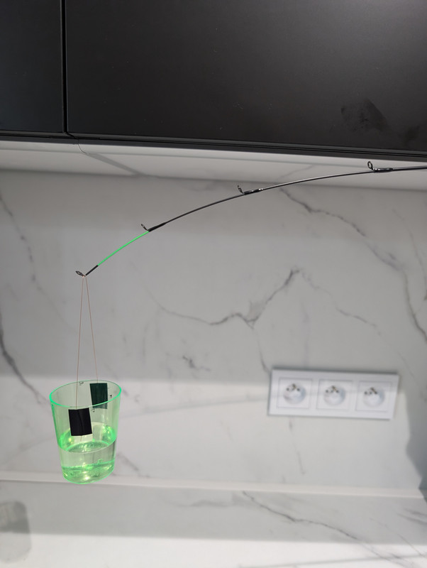 PXL 20260213 075335762