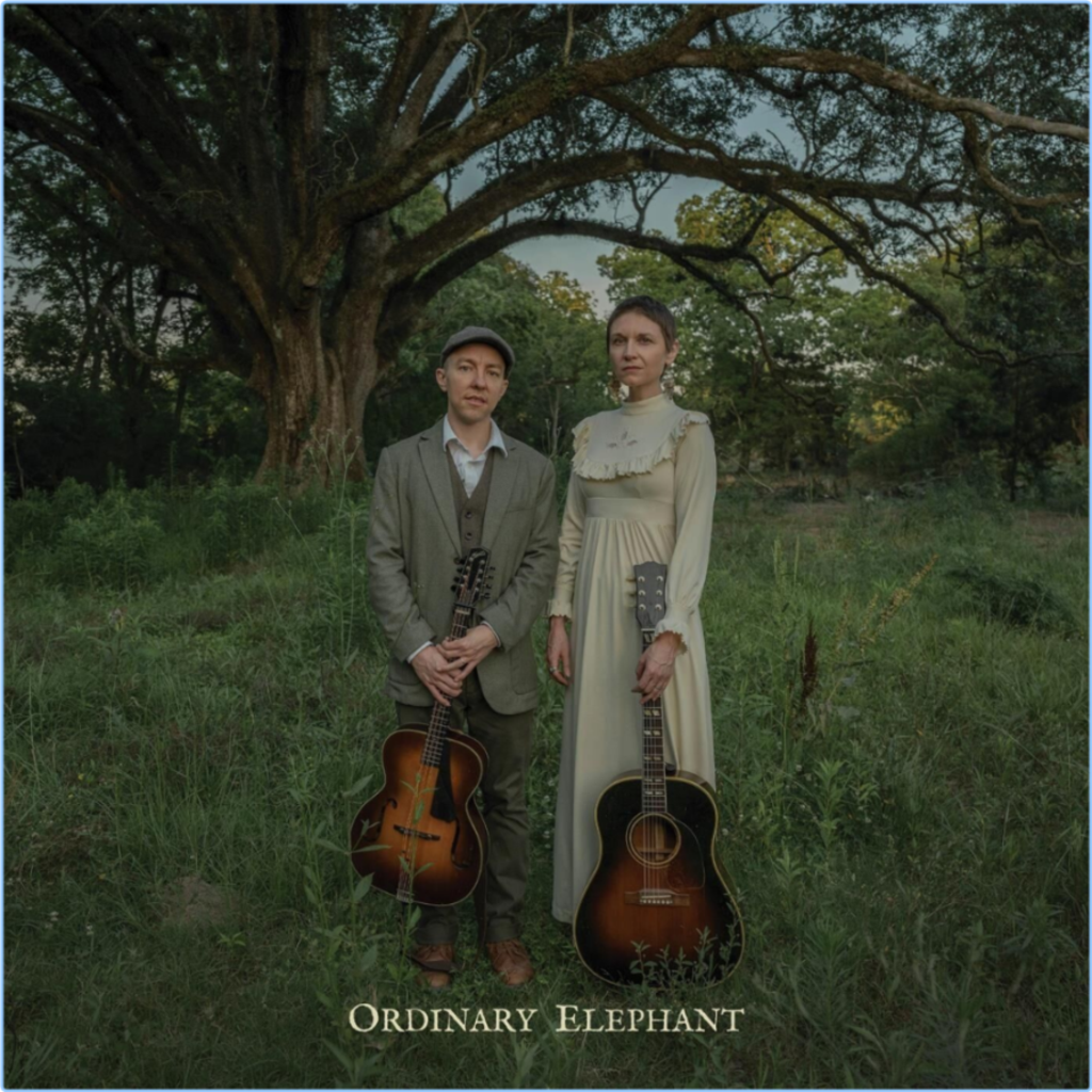 Ordinary Elephant Ordinary Elephant (2024) WEB [FLAC] 16BITS 44 1KHZ T43bajq8q6zb