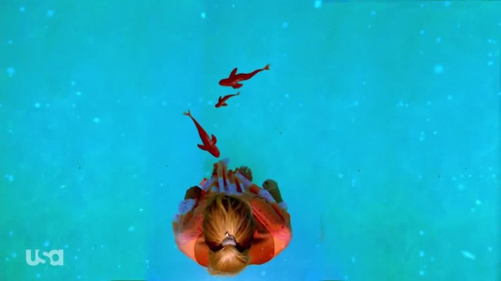 [Image: nm1klu7i6q5g.jpg]