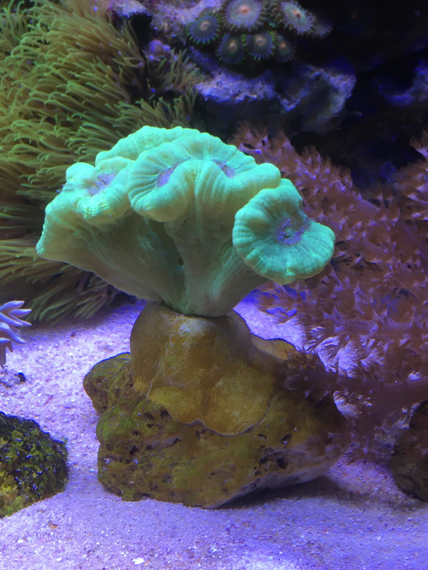 E10D4E63-AA46-4EAE-9971-98D10BC16154