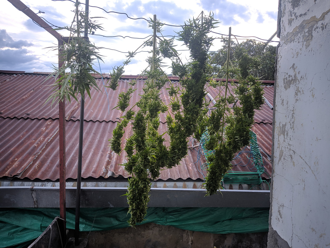 HC_20220801_181316_null