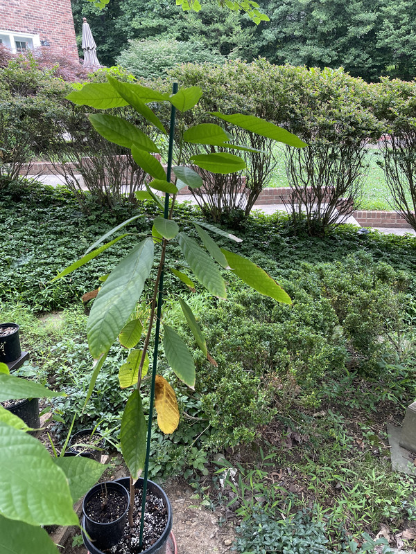 217811A6-7FC3-4BC8-95F3-E0BC9C50CDAD