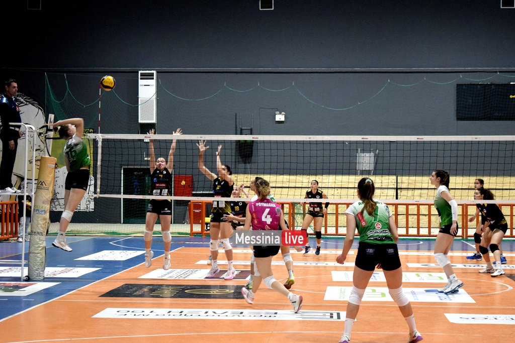 DSC-0403
