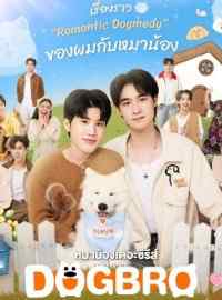 Phải Lòng Cún Con