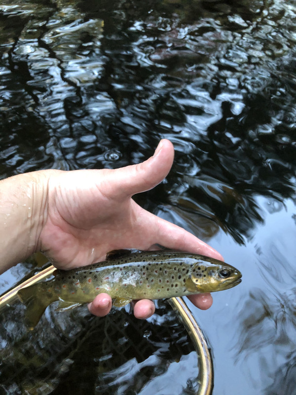 FEDB537B-7758-4092-BED6-71D1AF7DDA4A