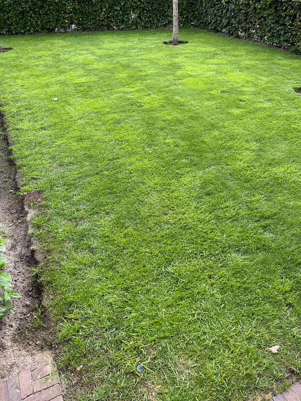 78222513-850A-47A7-B759-401F3201A82A